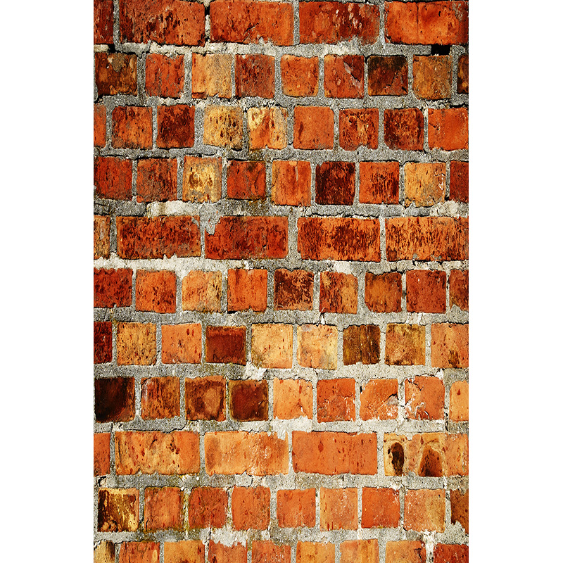 Vintage Brick Wall Grungy Phot - đánh giá và giá Baby Products Photos