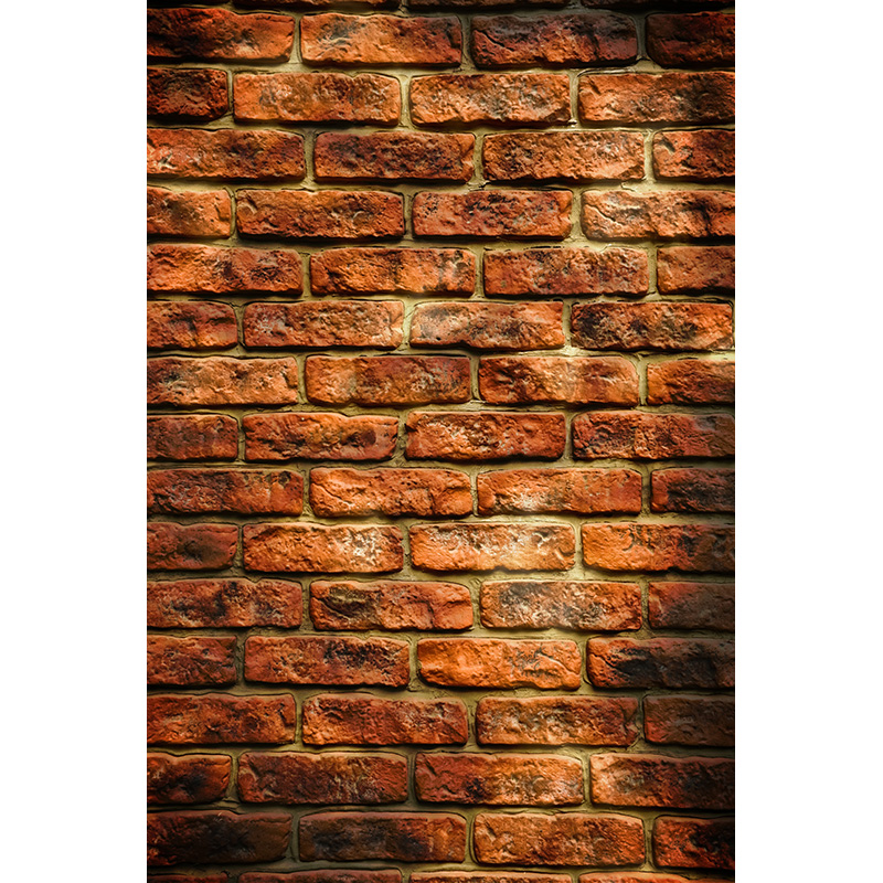Vintage Brick Wall Grungy Phot - đánh giá và giá Baby Products Photos